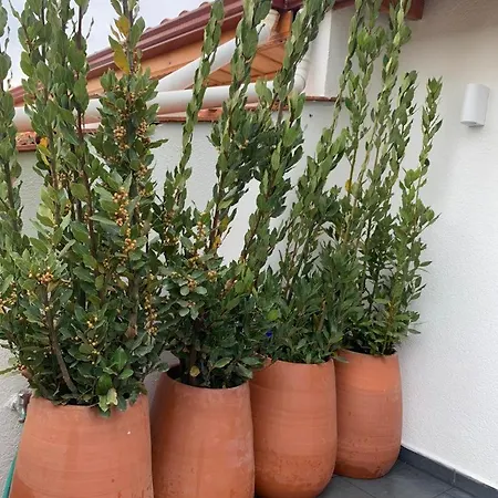 Cozy Akyaka Διαμέρισμα *